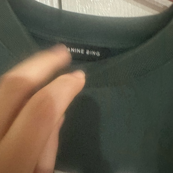 Anine Bing “Miles” Green Crewneck oversized distressed - Picture 6 of 15